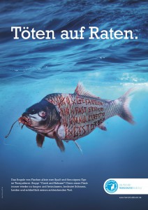 Catch-Release